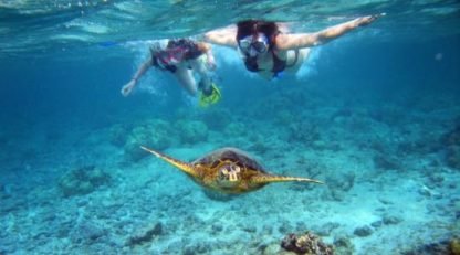 2 personas realizando Snorkeling, observando una tortuga bajo el agua.